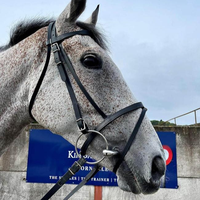 O Shepherd All Weather Flash Noseband