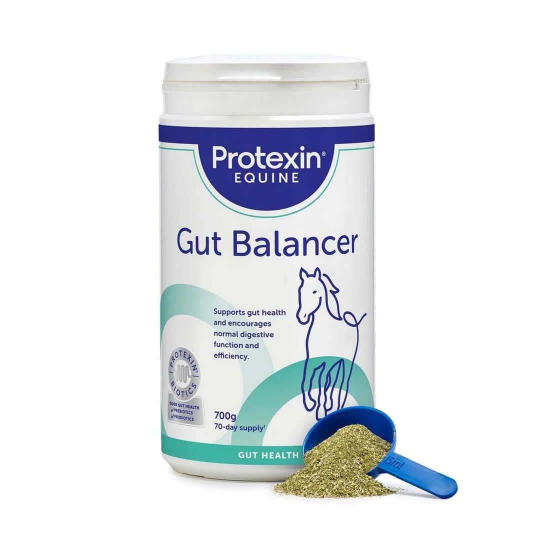 Protexin Premium Equine Gut Balancer