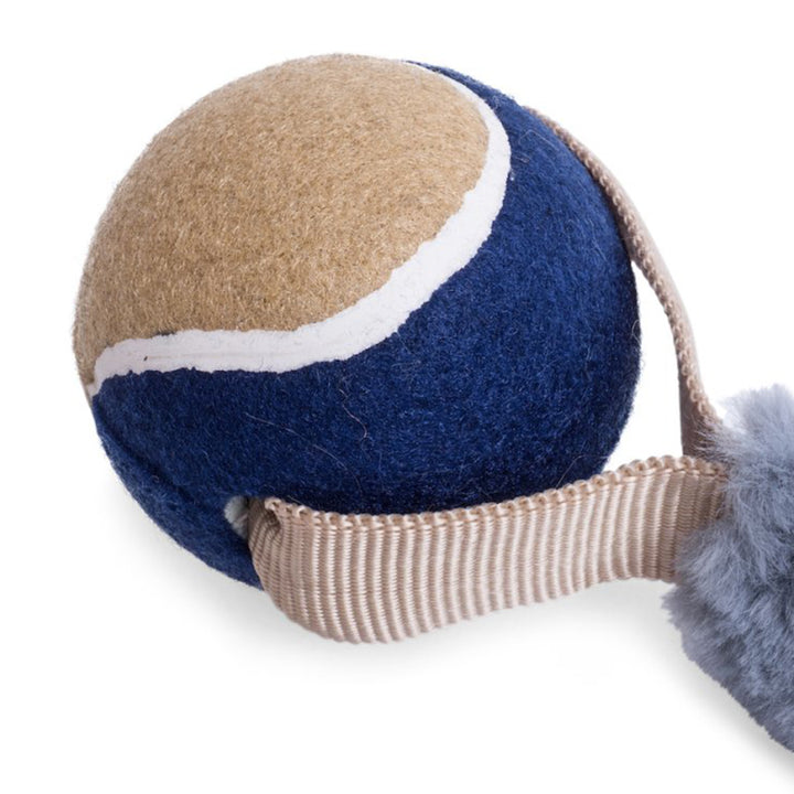 PetFace Outdoor Paws Aqua Stretchy Ball Thrower Dog Toy