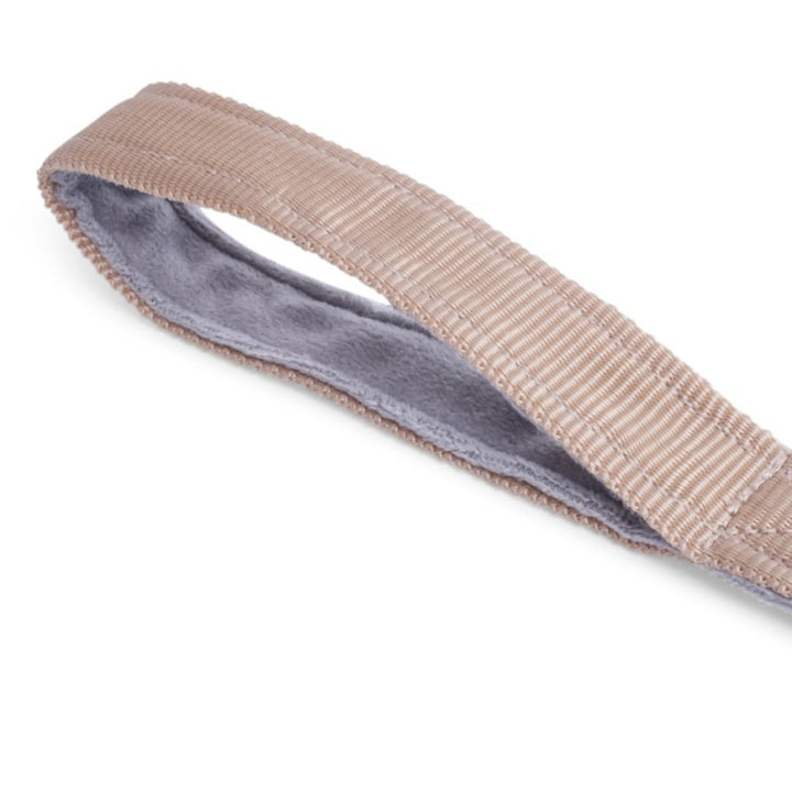 PetFace Outdoor Paws Aqua Stretchy Ball Thrower Dog Toy