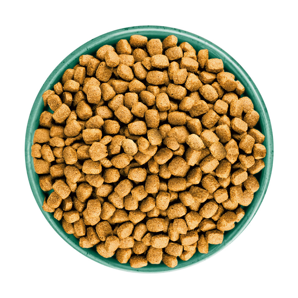 James Wellbeloved Adult Small Breed Turkey & Rice Dry Dog Food