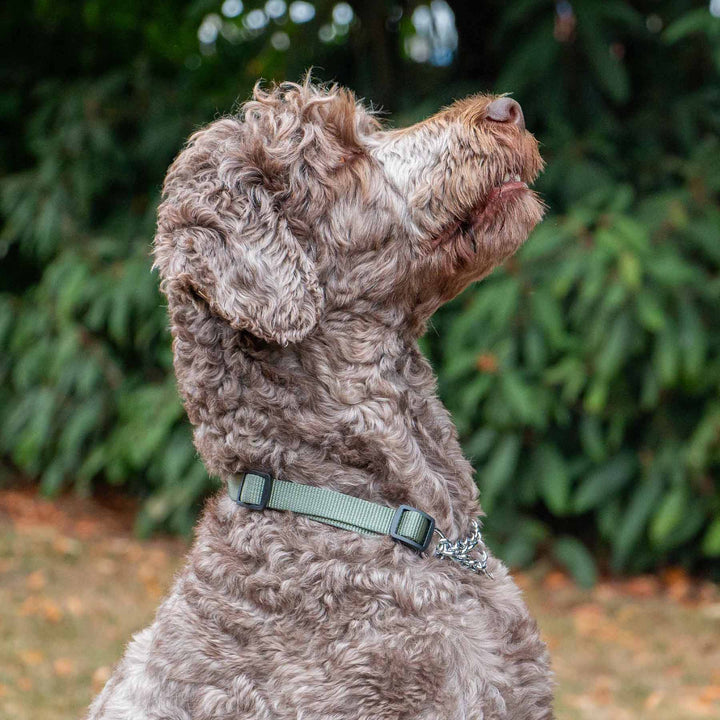 Ancol Obedia Nylon Chain Dog Collar