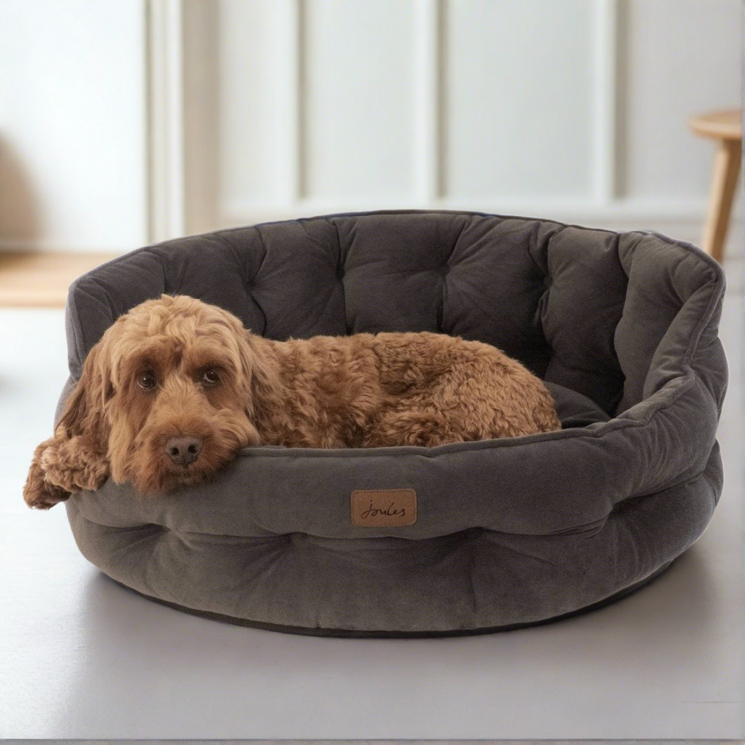 Joules Velvet Chesterfield Dog Bed