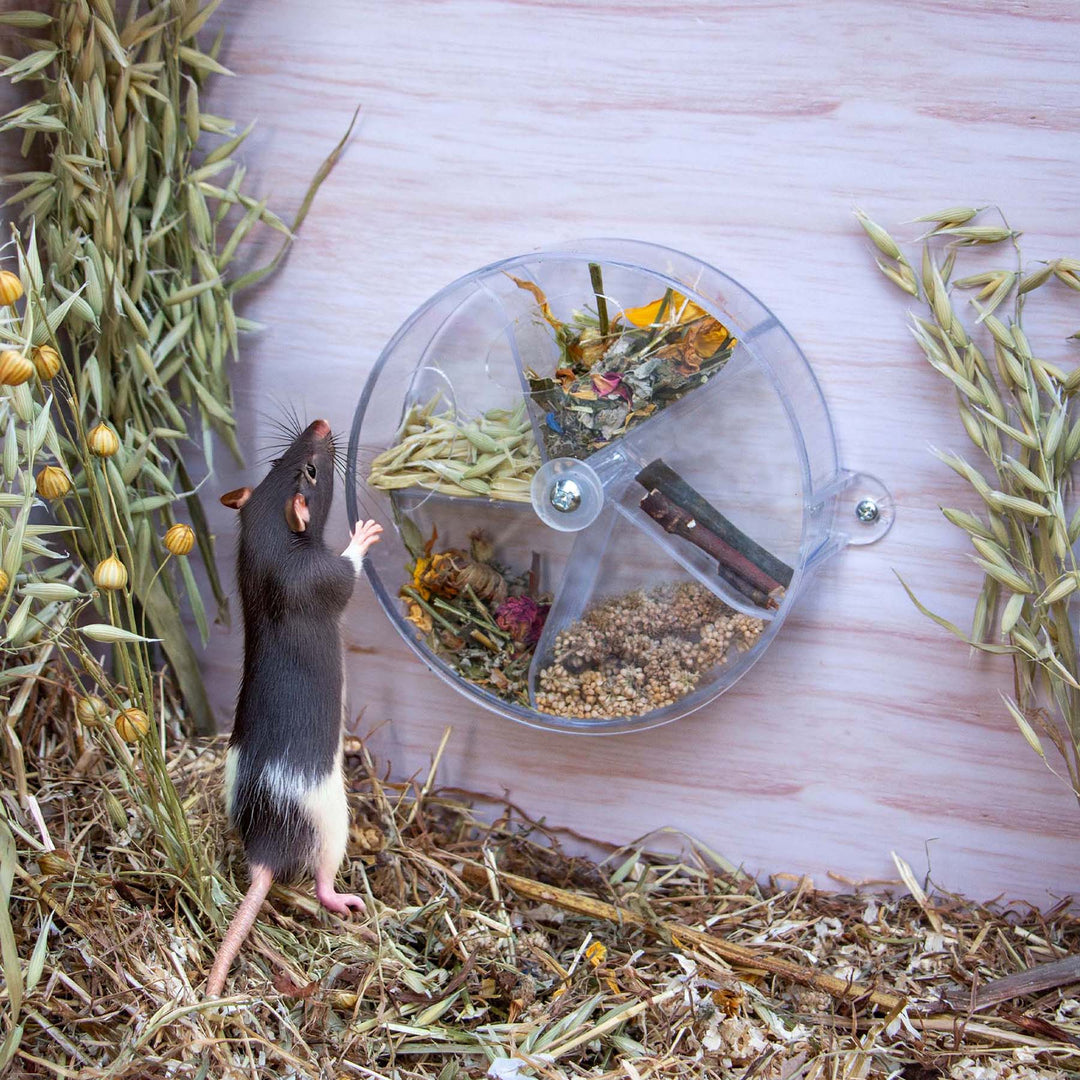 Ancol Small Animal Foraging Puzzle