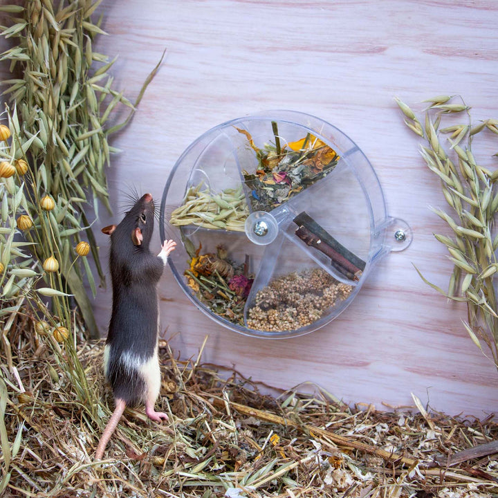 Ancol Small Animal Foraging Puzzle