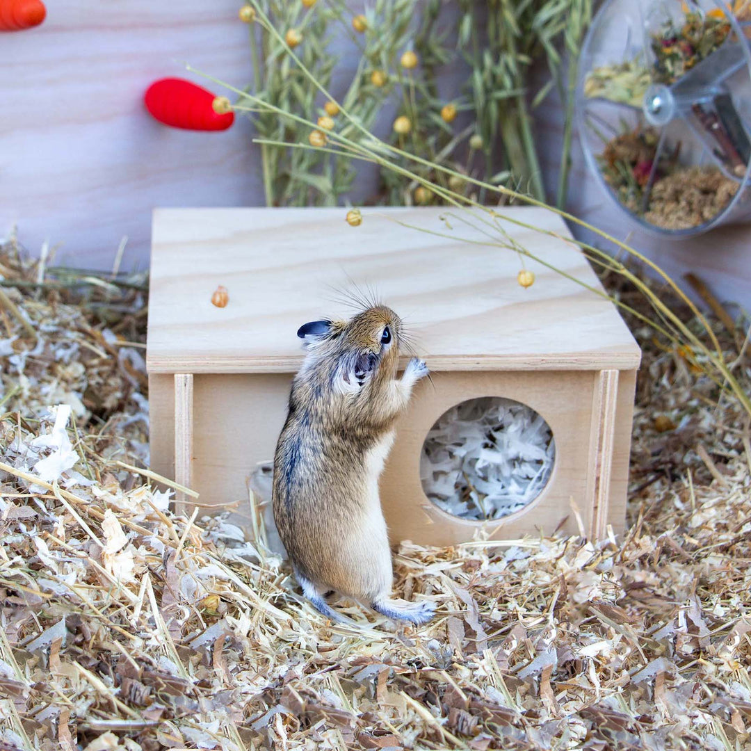 Ancol Small Animal Wooden Hide