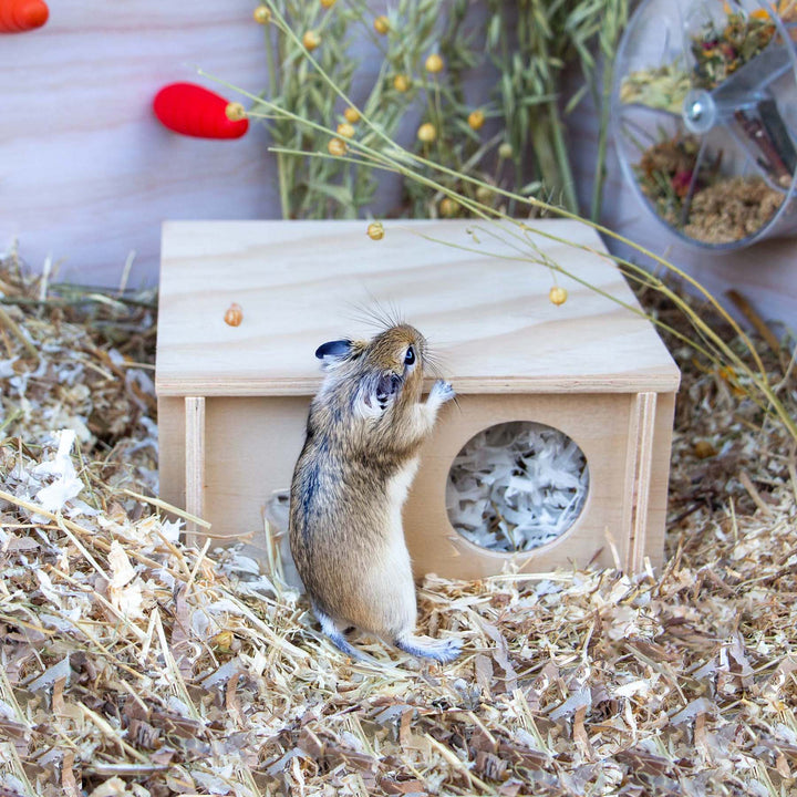 Ancol Small Animal Wooden Hide