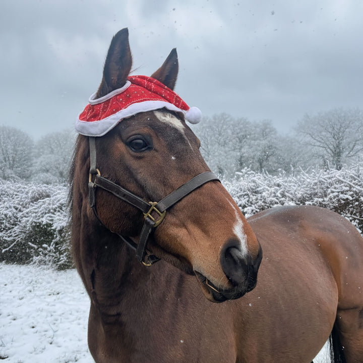 Millbry Hill Santa Hat for Horses