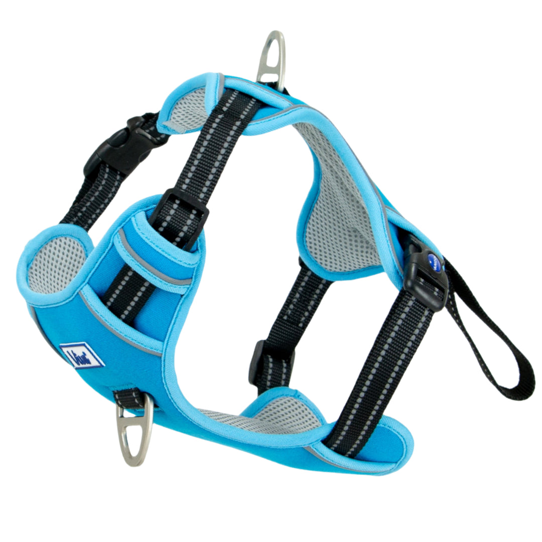 Ancol Viva Travel Harness