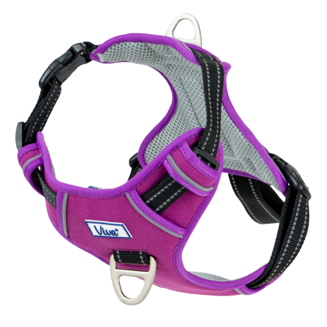 Ancol Viva Travel Harness