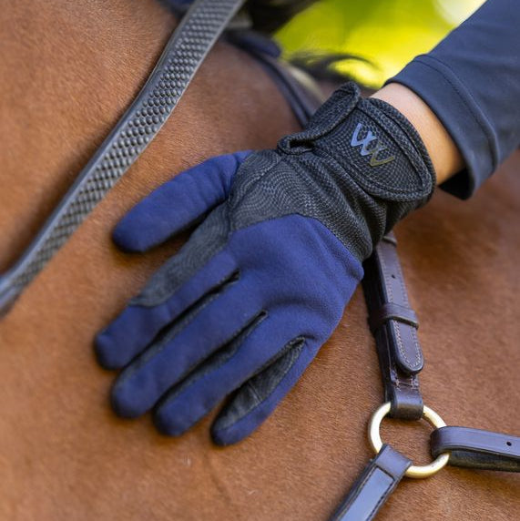 Person wearing blue gloves holding a horse's reins