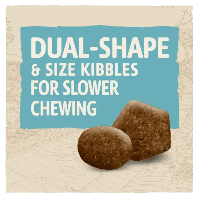 Beta Small Breed Puppy Food with Chicken