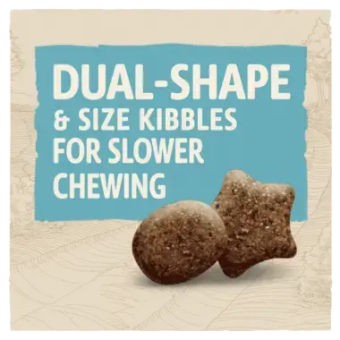 Beta Large Breed Puppy Food with Turkey