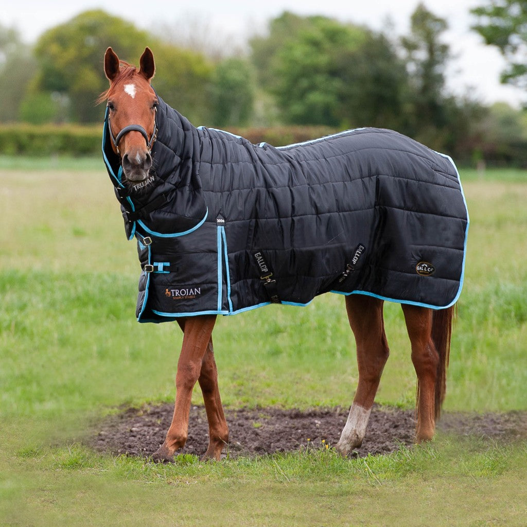 Gallop Trojan 300g Combo Stable Rug