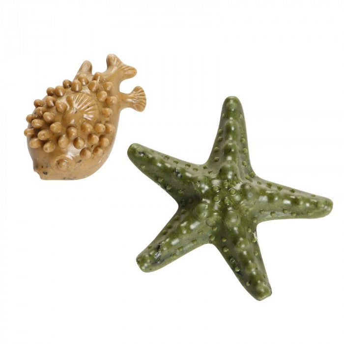 Elkwood Vegetable Dental Sea Creatures with Seaweed