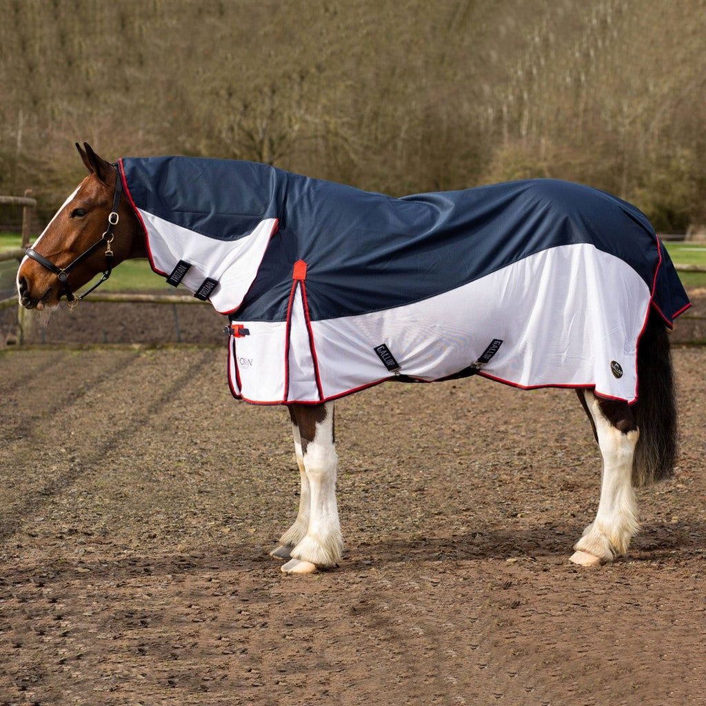 Gallop Trojan Turnout Fly Rug Combo