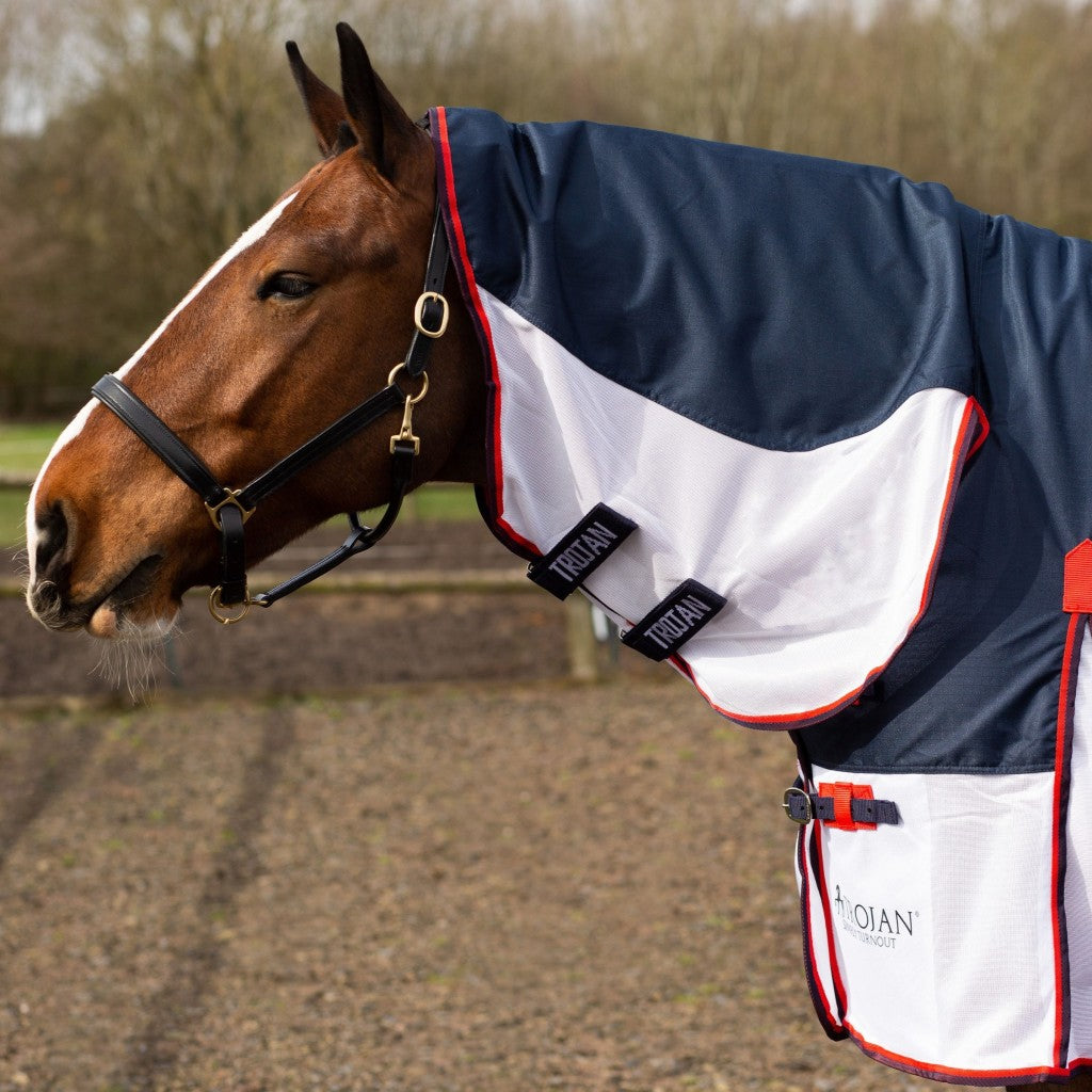 Gallop Trojan Turnout Fly Rug Combo