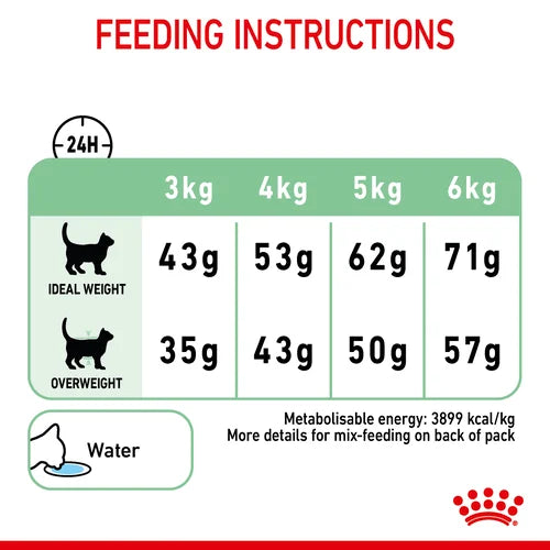 Royal Canin Digestive Care Complete Dry Cat Food