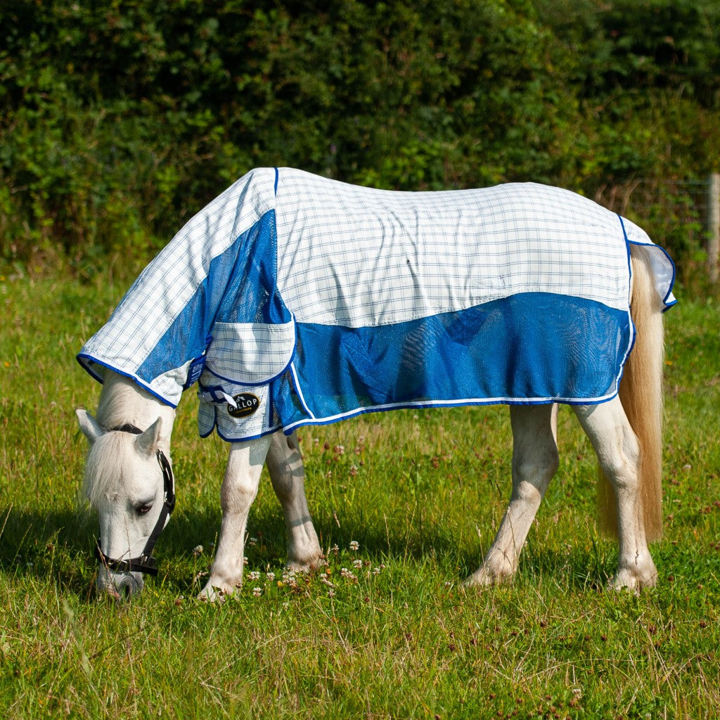 Gallop Air-Mesh Summer Sheet Combo