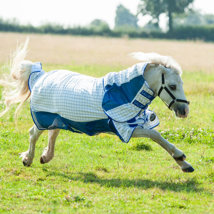 Gallop Air-Mesh Summer Sheet Combo