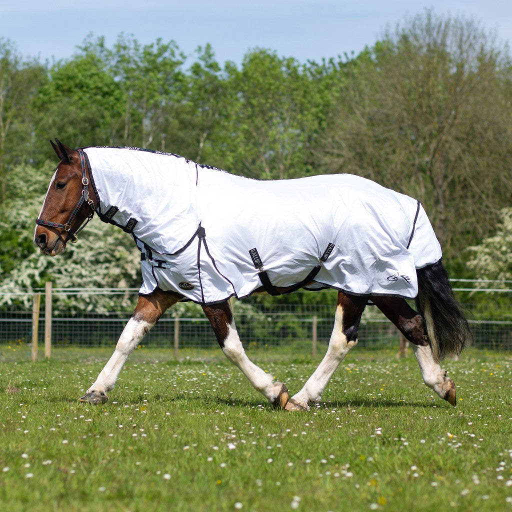 Gallop Essentials Mesh Combo Fly Rug | Millbry Hill
