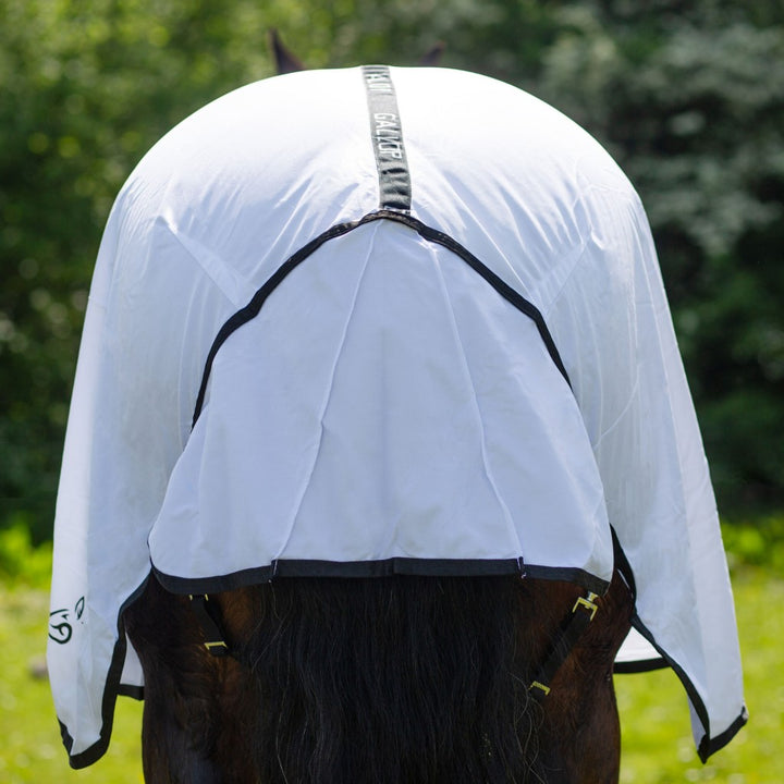 Gallop Classic Fly Rug Combo