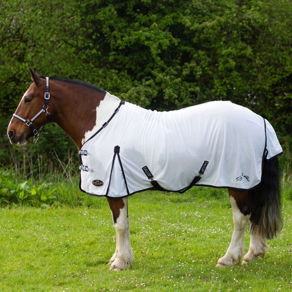 Gallop Dual Fly Rug & Neck Set