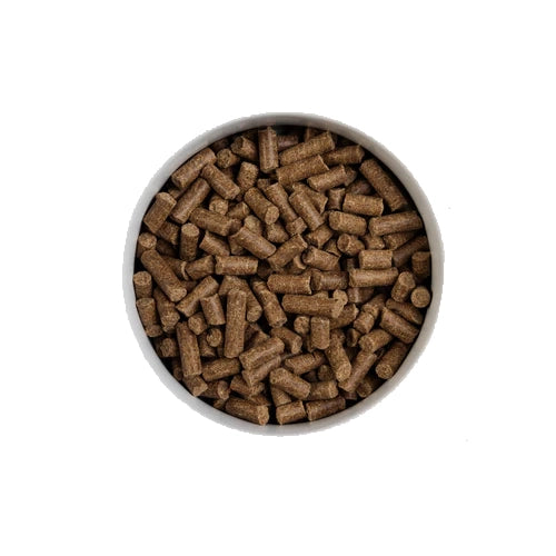 Forthglade Cold Pressed Duck Dry Dog Food