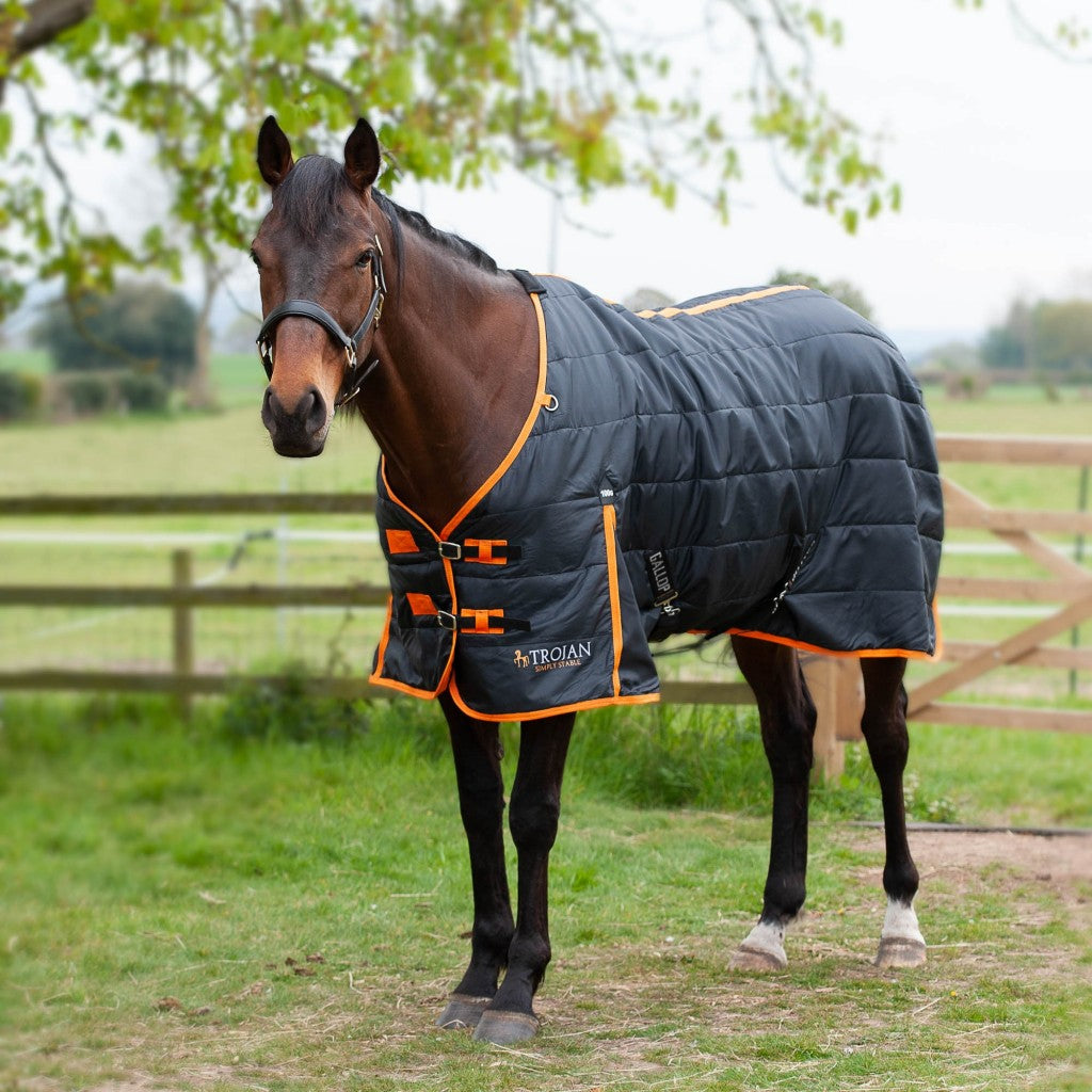 Gallop Trojan 100g Standard Neck Stable Rug