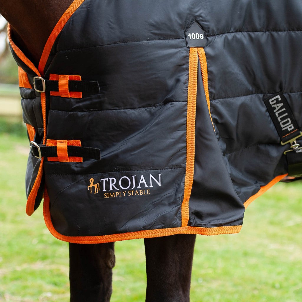 Gallop Trojan 100g Standard Neck Stable Rug