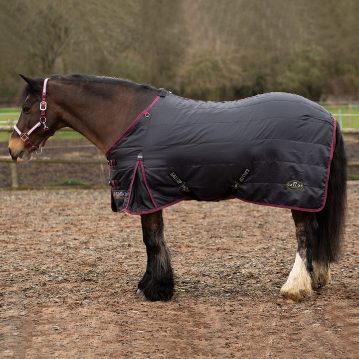 Gallop Trojan 50g Standard Stable Rug