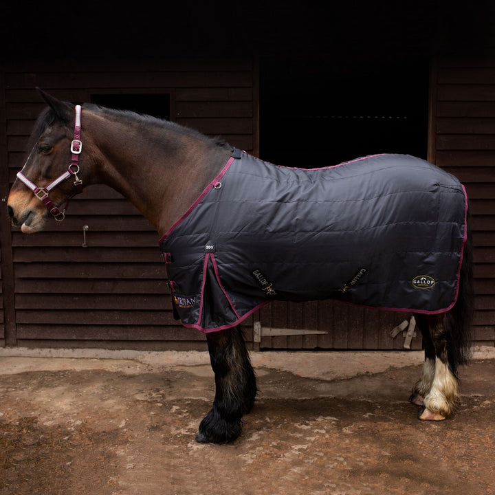 Gallop Trojan 50g Standard Stable Rug