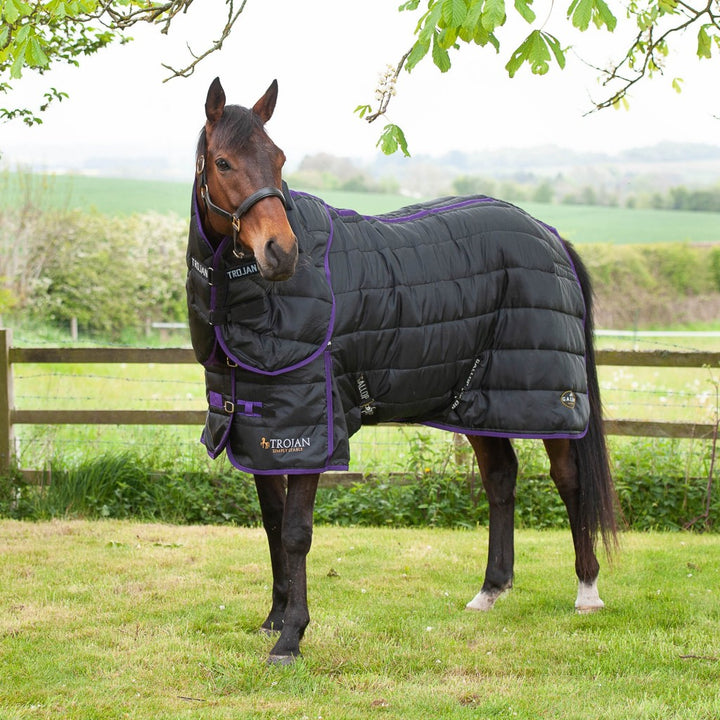 Gallop Trojan Dual 200g Stable Rug & Neck Set