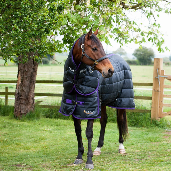 Gallop Trojan Dual 200g Stable Rug & Neck Set