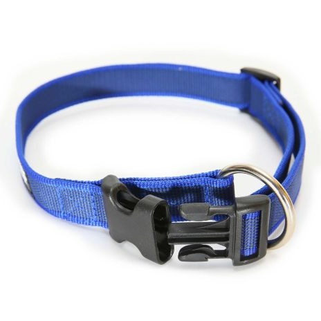 Julius-K9 Colour & Gray Dog Collar in Blue#Blue
