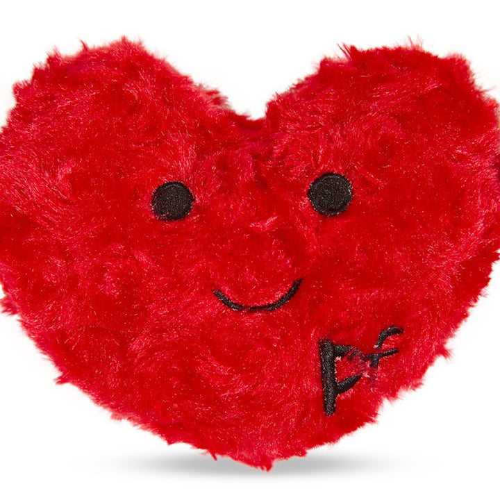 PetFace Buddies Hughie Heart With Rope Plush Dog Toy