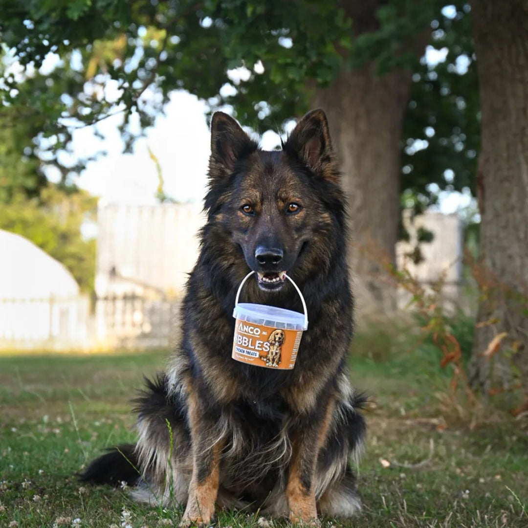 Anco Nibbles Chicken Treats
