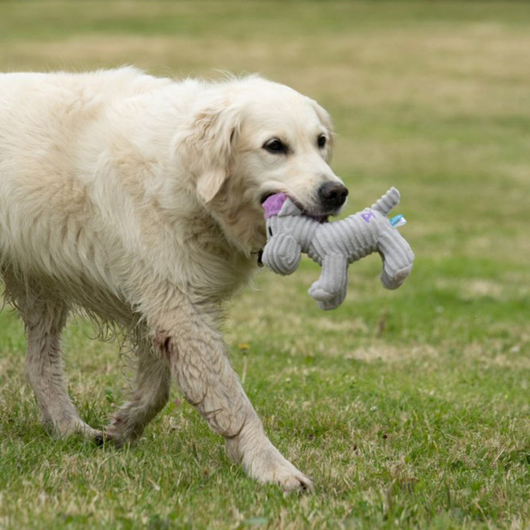 PetFace Little Petface Funky Freddi Cord Plush Dog Toy