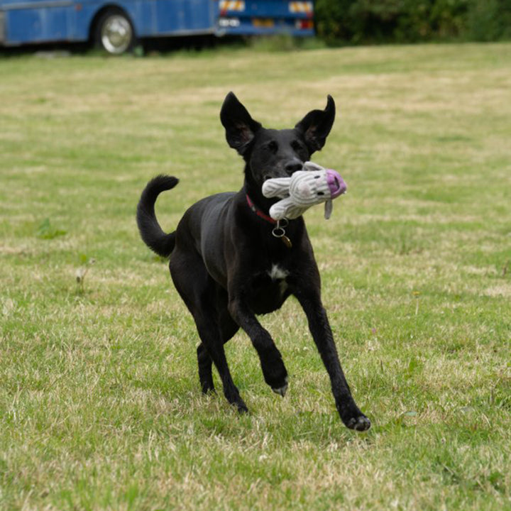 PetFace Little Petface Funky Freddi Cord Plush Dog Toy