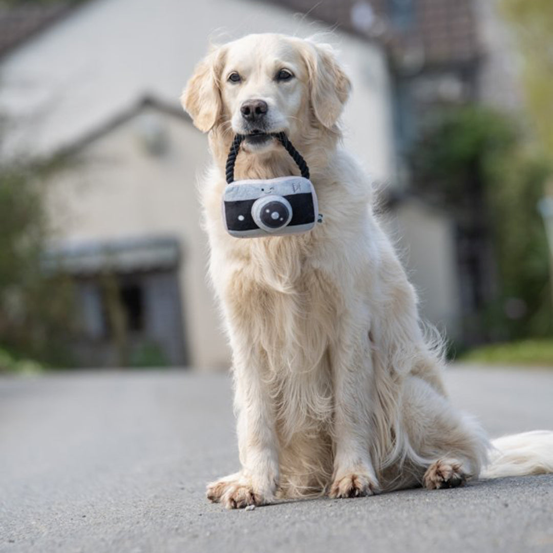 PetFace Retro Camera With Rope Plush Dog Toy