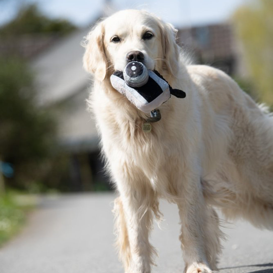PetFace Retro Camera With Rope Plush Dog Toy
