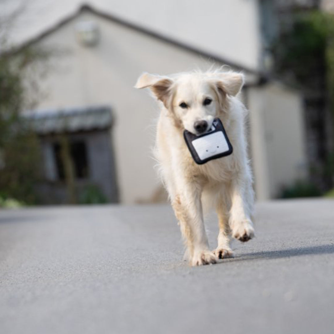 PetFace Retro Floppy Disk Plush Dog Toy