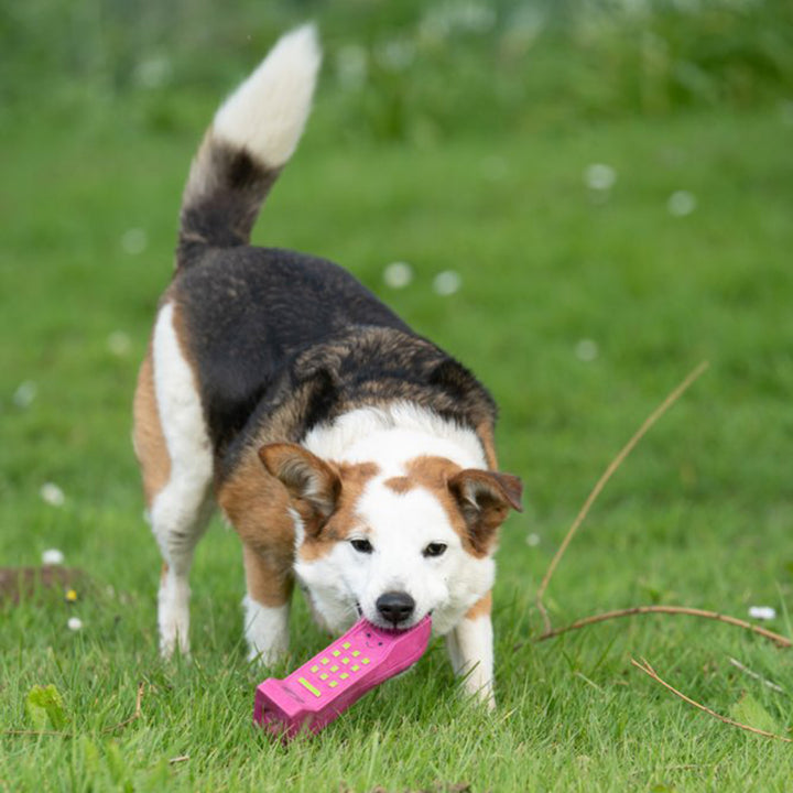 PetFace Retro Latex Mobile Phone Dog Toy