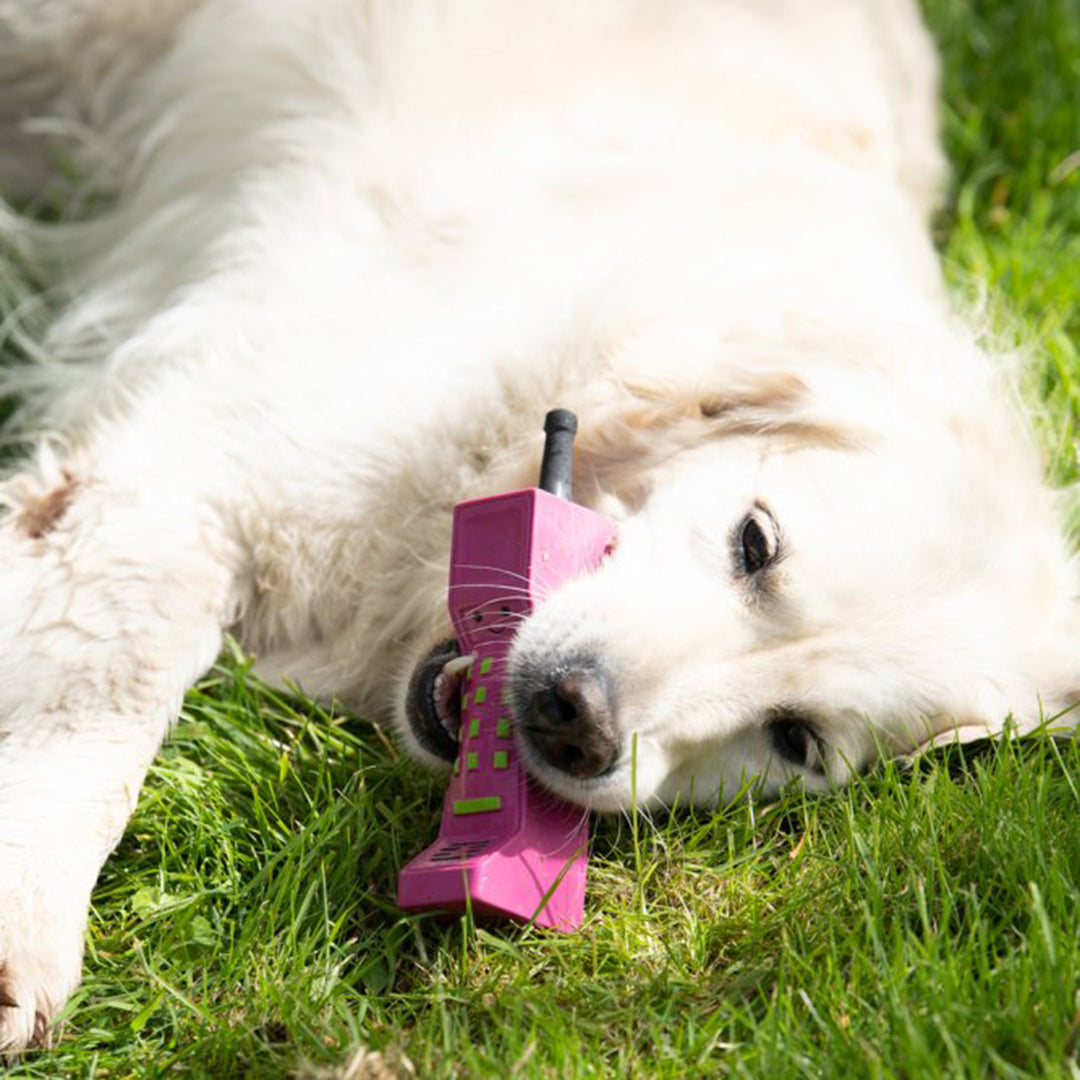 PetFace Retro Latex Mobile Phone Dog Toy