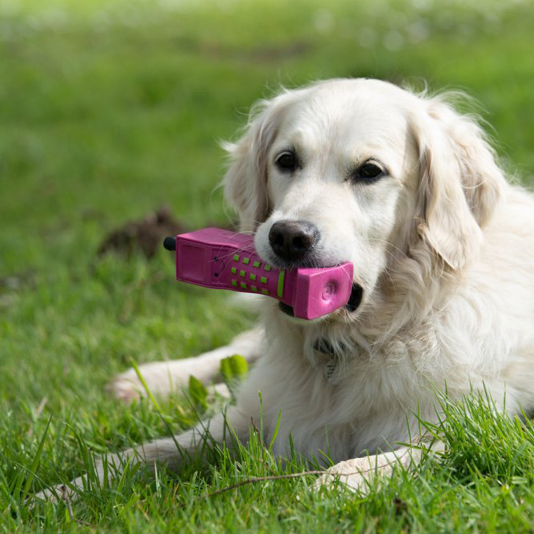 PetFace Retro Latex Mobile Phone Dog Toy