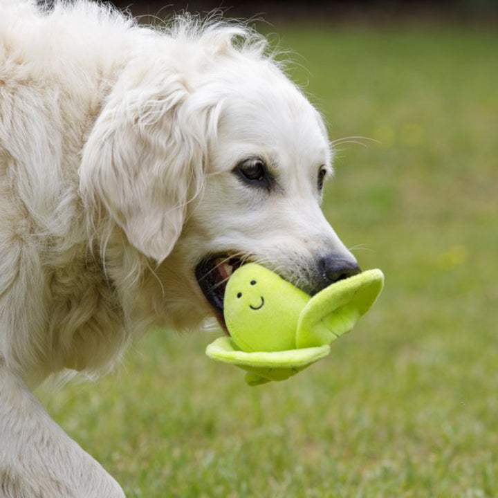 PetFace Foodie Faces Fluffy Sprout Plush Dog Toy
