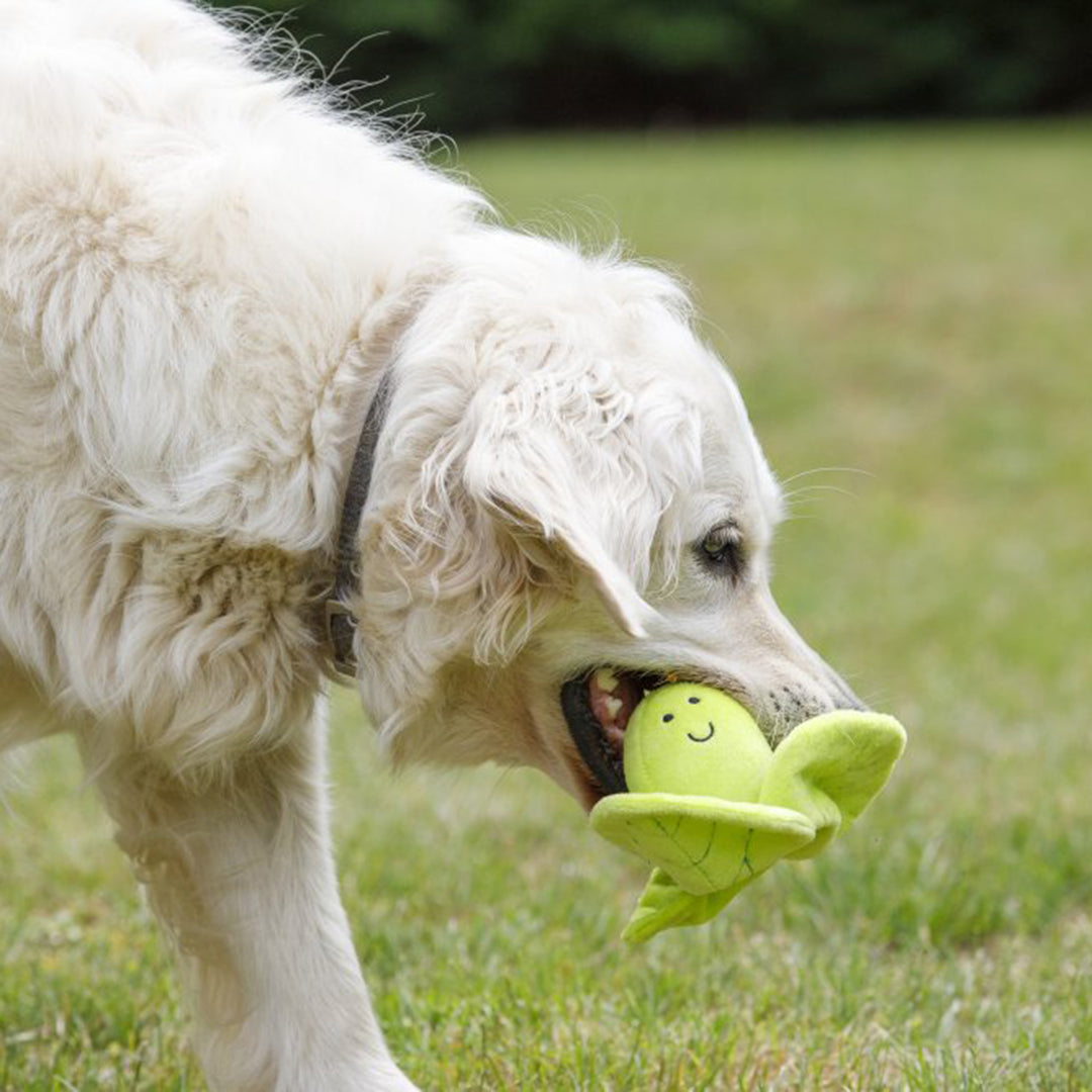 PetFace Foodie Faces Fluffy Sprout Plush Dog Toy