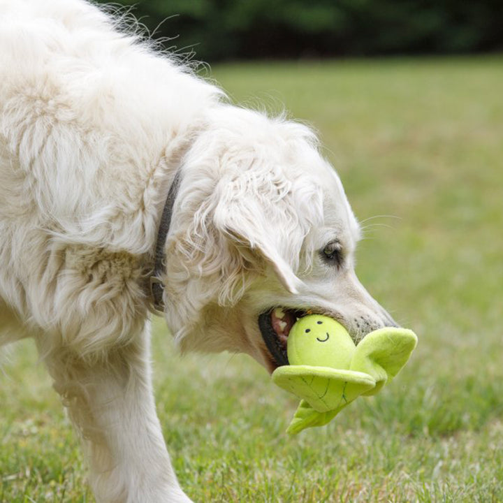PetFace Foodie Faces Fluffy Sprout Plush Dog Toy