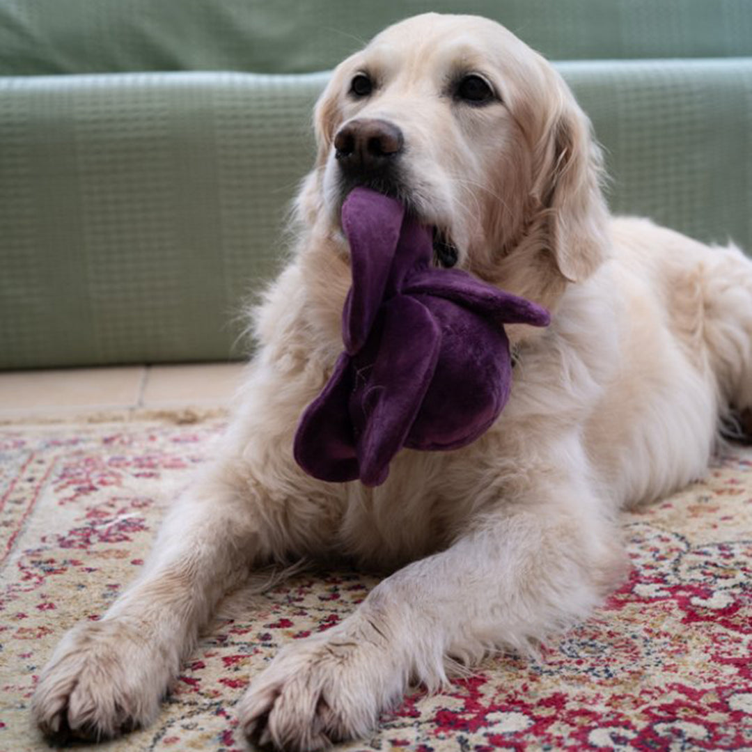 PetFace Foodie Faces Ruby Red Cabbage Plush Dog Toy