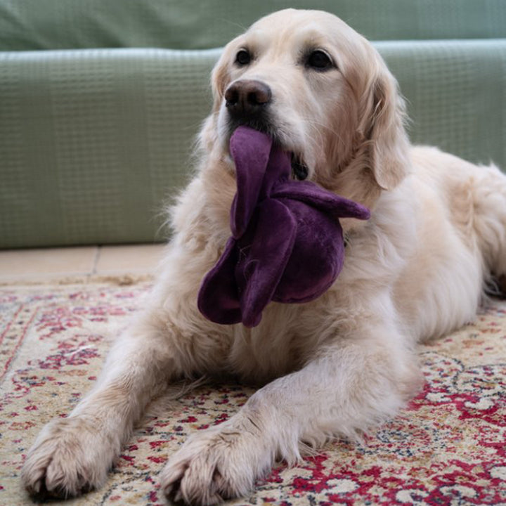 PetFace Foodie Faces Ruby Red Cabbage Plush Dog Toy